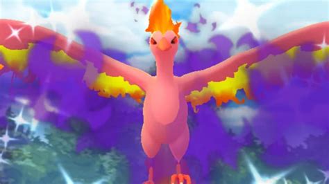 shadow moltres counters|More.